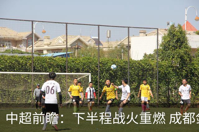 中超前瞻：下半程战火重燃 成都剑指三分申花求反弹