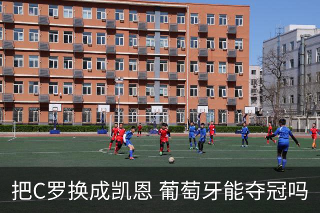把C罗换成凯恩 葡萄牙能夺冠吗